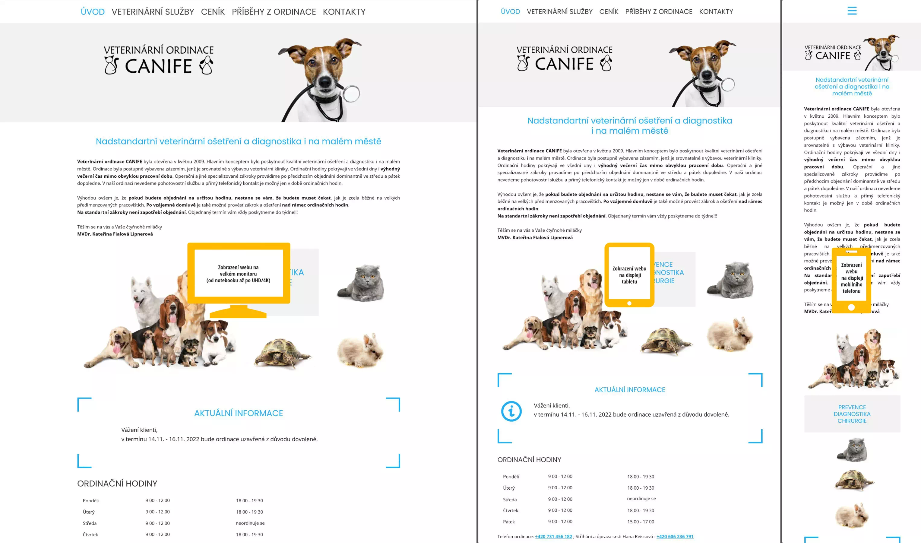 ukázka webu